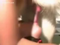 Pet dog getting a deepthroat animal sex